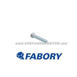 Boulon  M 6 mm L 30 mm zingué FABORY